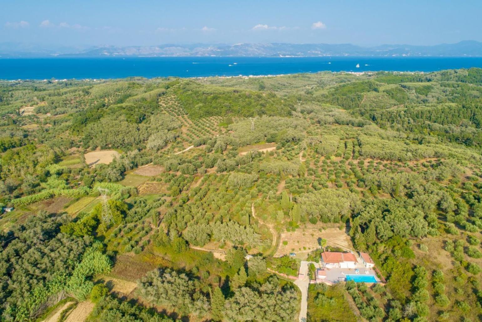 Villa Psaropouli Dragotiná Екстериор снимка